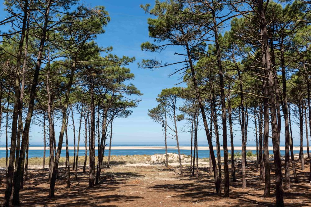 landes (2)